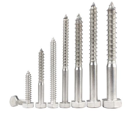 Sistema métrico de medición A2 A4 Hex Lag tornillo de acero inoxidable 304 316 Din 571 tornillo de madera