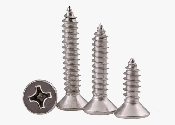 ANSI/ASME Estándar SS304 SS316 Cerrojo de cubierta de acero inoxidable para construcción resistente a la corrosión DIN7982