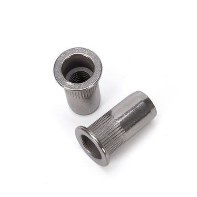 Finalización plana de extremo cerrado de cabeza plana de tuercas de remachado M8 M10 para la industria pesada y material resistente a la corrosión SS304